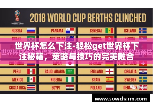 世界杯怎么下注-轻松get世界杯下注秘籍，策略与技巧的完美融合