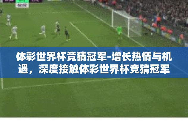 体彩世界杯竞猜冠军-增长热情与机遇，深度接触体彩世界杯竞猜冠军