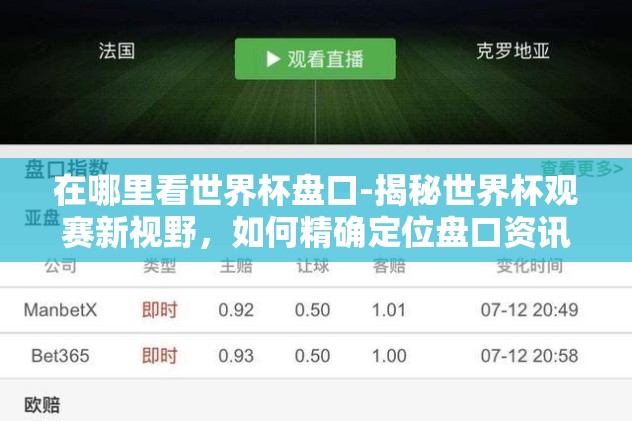 在哪里看世界杯盘口-揭秘世界杯观赛新视野，如何精确定位盘口资讯