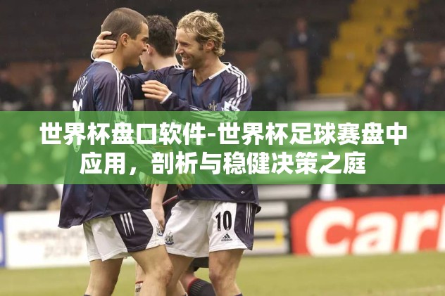 世界杯怎么竞猜比赛-世界杯竞猜攻略，洞见与策略并进
