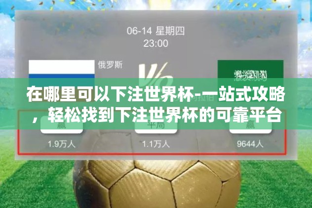 在哪里可以下注世界杯-一站式攻略，轻松找到下注世界杯的可靠平台