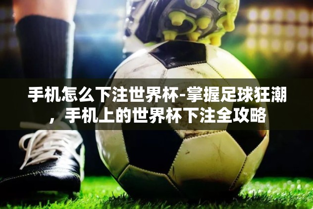 世界杯体彩竞猜进球数-深入探索，世界杯体彩竞猜之进球数预测的智慧与乐趣