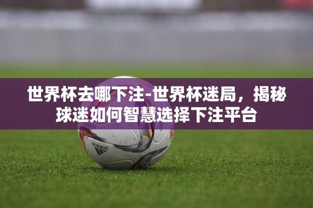 世界杯去哪下注-世界杯迷局，揭秘球迷如何智慧选择下注平台