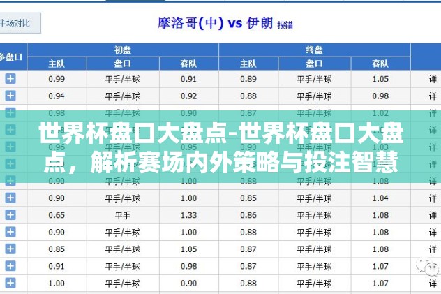 世界杯盘口大盘点-世界杯盘口大盘点，解析赛场内外策略与投注智慧